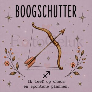 Sterrenbeeld Boogschutter