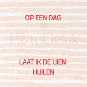 Op een dag